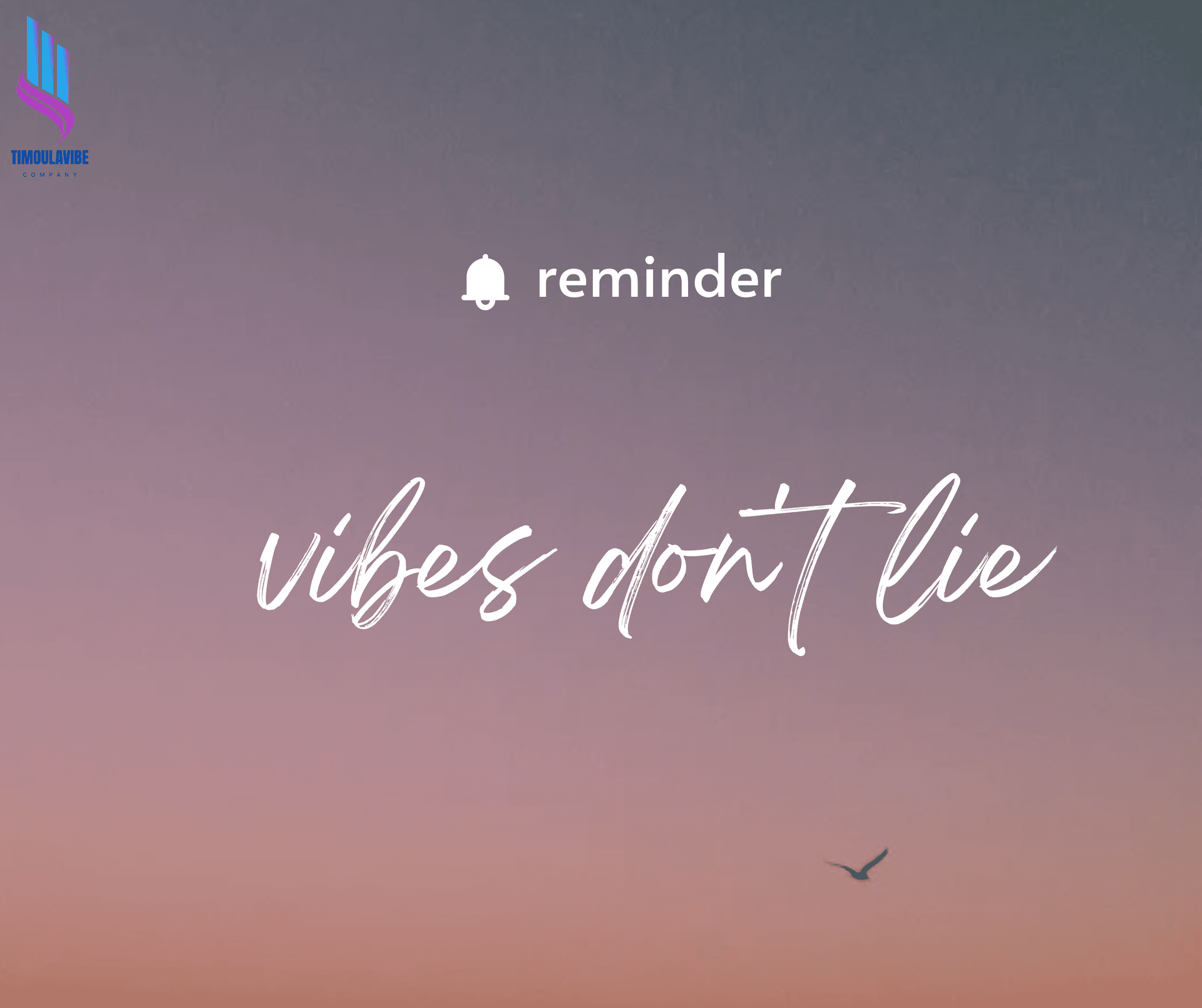 Banner for shop.timoulavibe.com